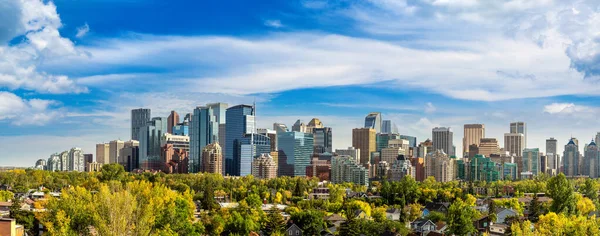 Panorama Van Calgary Een Zonnige Dag Canada — Stockfoto