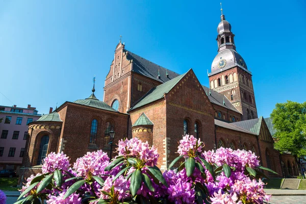 Die Kuppelkathedrale Zentrum Der Altstadt Riga Einem Schönen Sommertag Lettland — Stockfoto