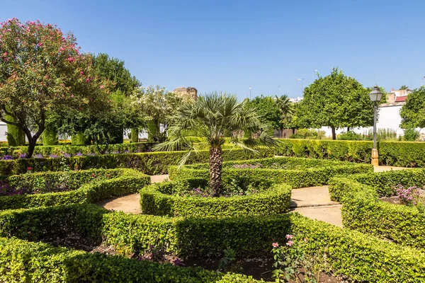 Zahrady Alcazar Los Reyes Cristianos Córdobě Krásný Letní Den Španělsko — Stock fotografie