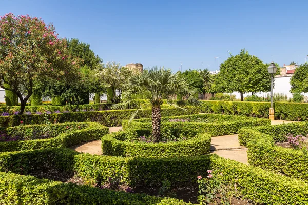 Gardens Alcazar Los Reyes Cristianos Cordoba Beautiful Summer Day Spain — Stock Photo, Image