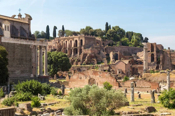 Forntida Fornlämningar Forum Sommardag Rom Italien — Stockfoto