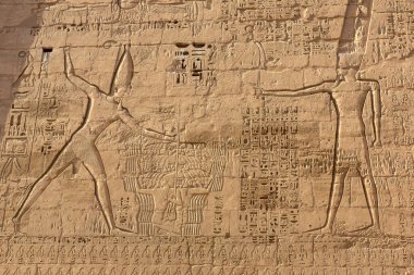 Luxor 'daki Medinet Habu tapınağı, Kral Vadisi, Mısır
