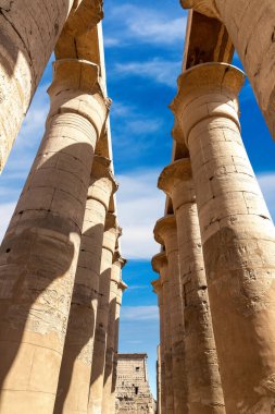 Luxor Tapınağı güneşli bir günde, Luxor, Mısır
