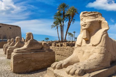 Sphinx Allee (Sfenkslerin Bulvarı) güneşli bir günde, Lüksör, Mısır