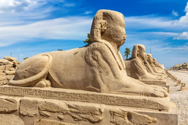 Sfinge Allee Avenue Sphinxes Una Giornata Sole Luxor Egitto — Foto Stock