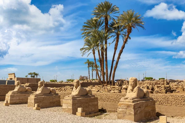 Sphinx Allee Avenue Sphinxes Sunny Day Luxor Egypt — Stockfoto