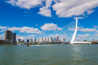Rotterdam 'daki Erasmus Köprüsü