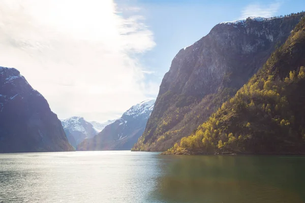 Sognefjord Noruega Día Soleado — Foto de Stock