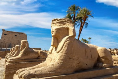 Sphinx Allee (Avenue of the Sphinxes) in a sunny day, Luxor, Egypt