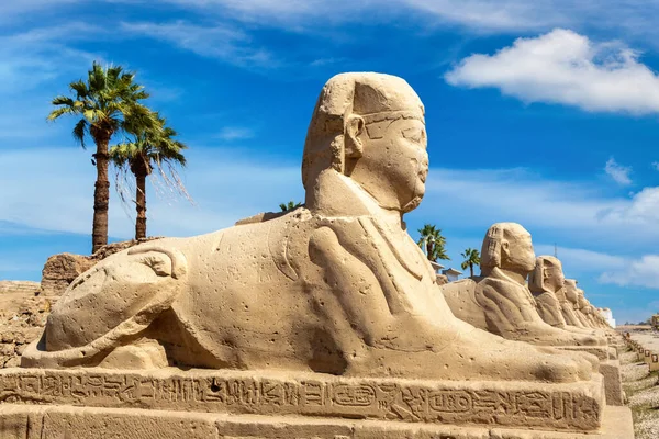 Sphinx Allee Avenue Sphinxes Sunny Day Luxor Egypt — Foto Stock