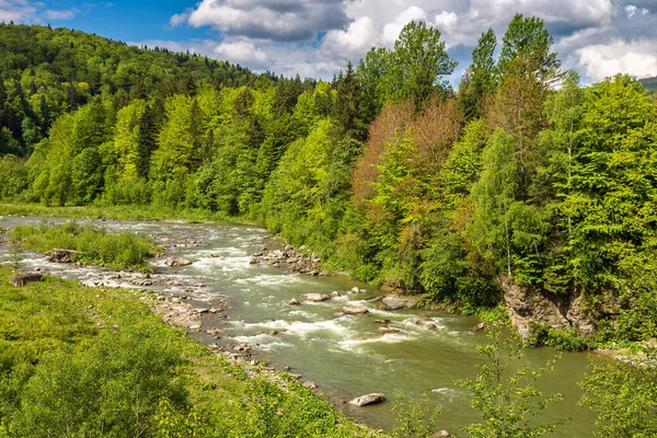 Ορεινό Ποτάμι Στο Δάσος Των Καρπαθίων Μια Όμορφη Καλοκαιρινή Μέρα — Φωτογραφία Αρχείου