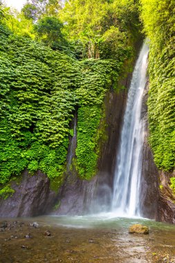 Munduk Şelalesi Bali, Endonezya 'da güneşli bir günde