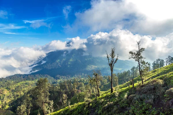 Vue Aérienne Panoramique Île Java Est Indonésie — Photo