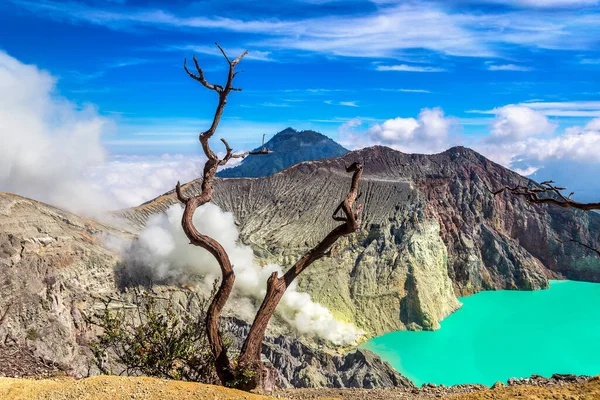 Panoramic Aerial View Crater Active Volcano Ijen Dead Tree Java — Stock Photo, Image