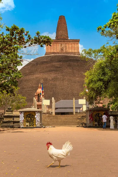 Abhayagiri Stupa Sri Lanka Una Giornata Estiva — Foto Stock