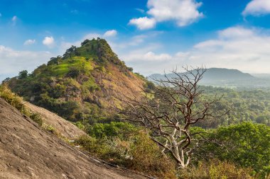 Dambulla National Park in sunny day in Sri Lanka clipart