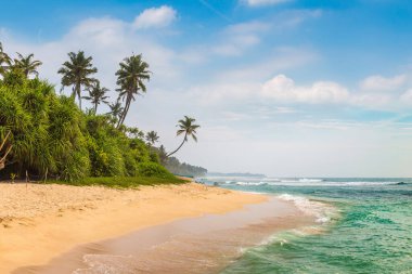 Sri Lanka 'da güneşli bir günde kumsal