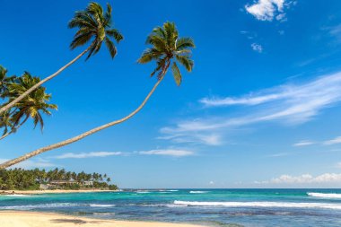 Sri Lanka 'da güneşli bir günde Dalawella Plajı