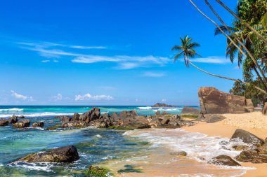 Sri Lanka 'da güneşli bir günde Dalawella Sahili' nde kayalar ve palmiye ağaçları