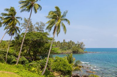 Güneşli bir günde lüks bir tropikal tatil köyü