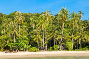 Güneşli bir günde güzel tropikal plajlar