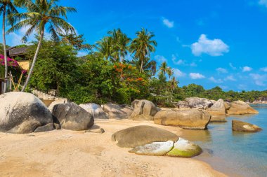 Bir yaz gününde güzel kayalık tropikal plaj
