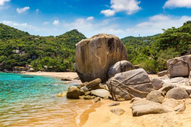 Ao Tanote Sahili Koh Tao Adası, Tayland