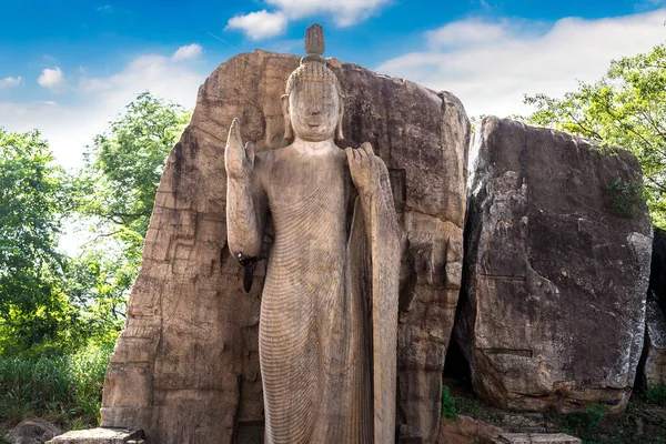 Statue Bouddha Dans Temple Avukana Temple Aukana Sri Lanka — Photo