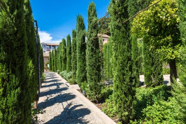 Güzel yaz gün, İspanya Granada'da Alhambra palace bahçelerinde