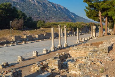 Antik kentin Efes, bir güzel yaz günü Türkiye'de antik Yunan şehir kalıntıları