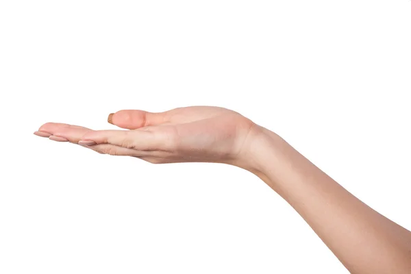 Open Palm Hand Gesture Of Female Hand Homeless Poverty Stock Photo Open Palm Hand Gesture Of Female Hand Homeless Poverty Stock Photo