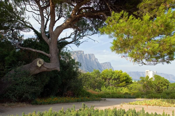 Park with mountain views. — Stock Photo, Image