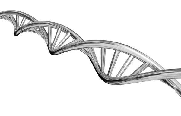 DNA-Modell auf weißem Hintergrund isoliert. — Stockfoto
