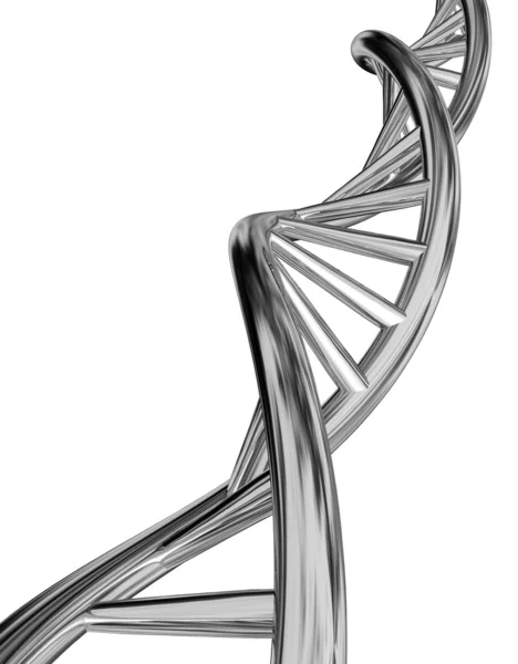 Модель ДНК ізольована на білому тлі . — стокове фото