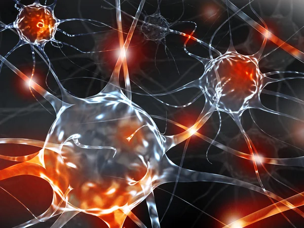 3d rendering illustration of neurons. — Stock Photo, Image