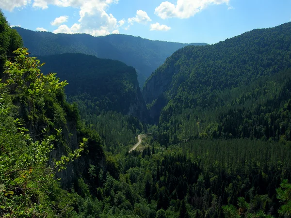 Vägen in i dalen. — Stockfoto