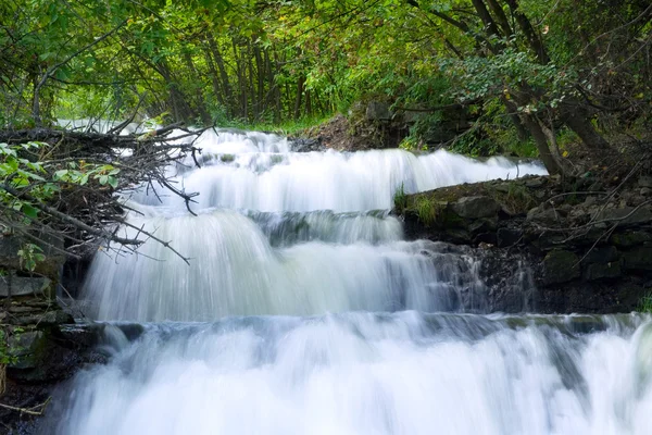 Cours d'eau cascades dans les bois . — Photo