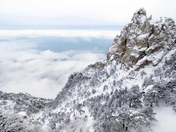 Berg über Wolken — Stockfoto