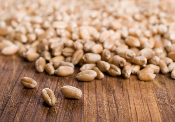 Wheat closeup on wooden board. — Stock Photo, Image