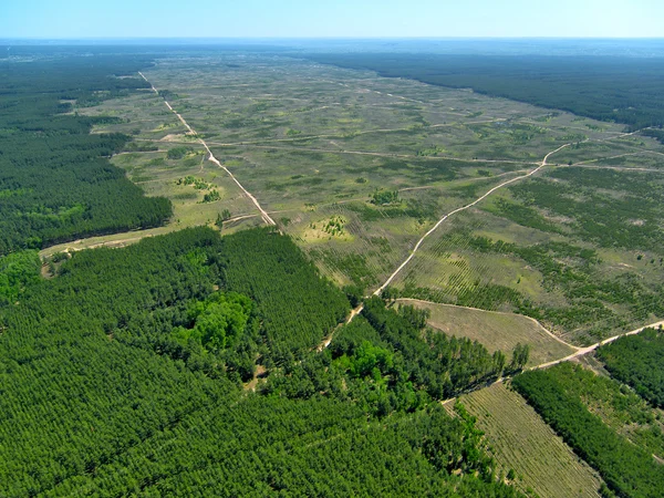 Deforestazione. (Vista aerea ). — Foto Stock