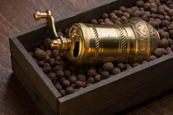 Moinho de pimenta metálica em caixa de madeira com pimenta — Fotografia de Stock