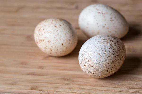 Frische Puteneier — Stockfoto