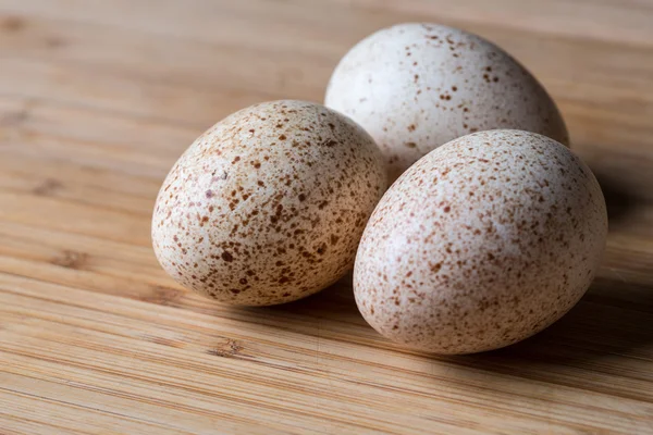 Fresh turkey eggs — Stock Photo, Image