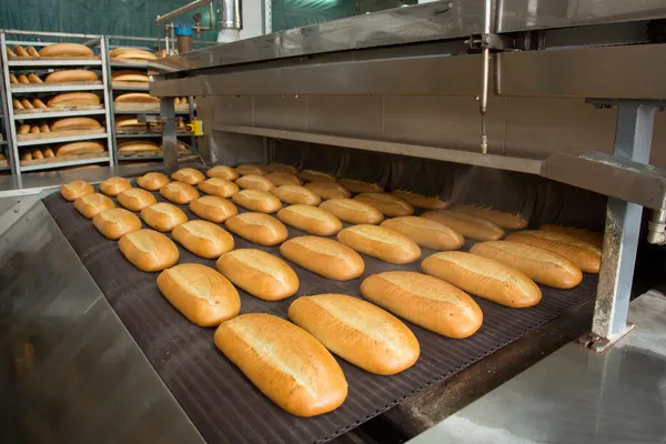 Pães cozidos no forno quentes em uma linha — Fotografia de Stock