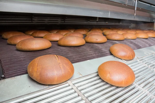 Pane al forno caldo su una linea — Foto Stock