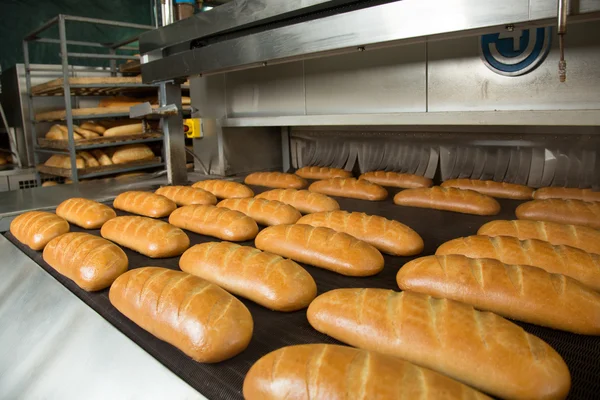 Heiße gebackenes Brot in einer Zeile — Φωτογραφία Αρχείου