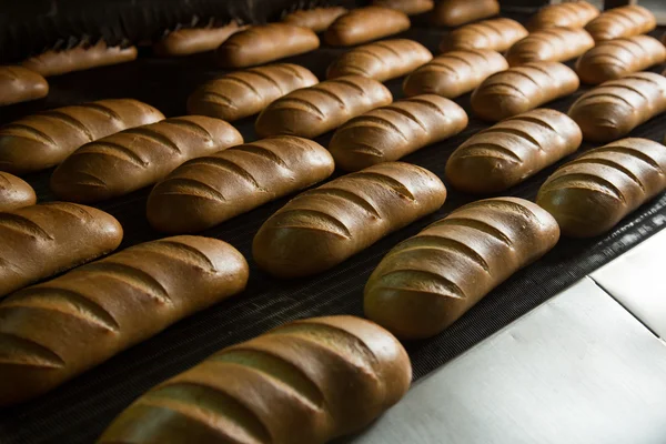 Pane al forno caldo su una linea — Foto Stock