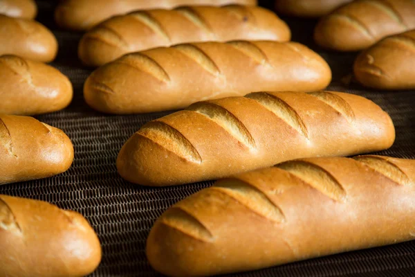 Heiße gebackenes Brot in einer Zeile — Φωτογραφία Αρχείου