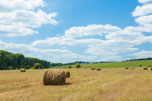 Rouleaux de foin frais dans un champ — Photo