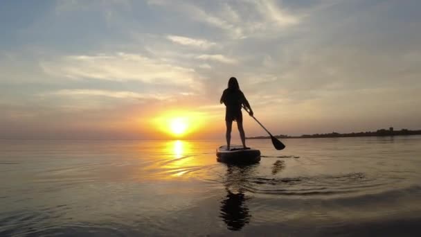 Figura Feminina Uma Prancha Jantar Navegando Para Pôr Sol Verão — Vídeo de Stock